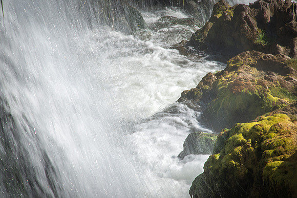 The University Relations Photography team visited Fall Creek Falls for a photo excursion. 2017