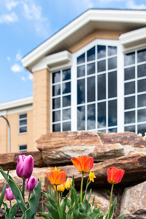 Spring Flowers - May 2021