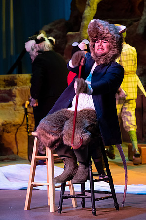 The Wind in the Willows - Feb 2020