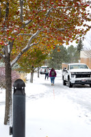 Campus Snow - Nov 2024