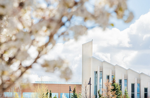 Flowers bloom on the trees near the I-center and Taylor buildings.