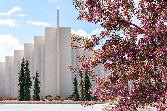 Spring Flowers on Campus - May 2021