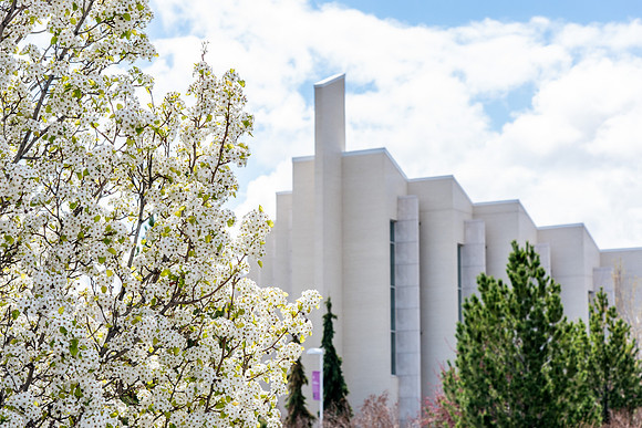 Spring Flowers on Campus - May 2021