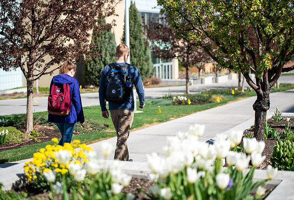 Flowers between the Taylor Building and Manwaring Center during the Spring 2021 Semester.