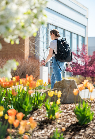 Flowers between the Taylor Building and Manwaring Center during the Spring 2021 Semester.