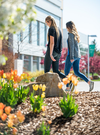 Flowers between the Taylor Building and Manwaring Center during the Spring 2021 Semester.