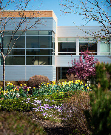 Flowers between the Taylor Building and Manwaring Center during the Spring 2021 Semester.