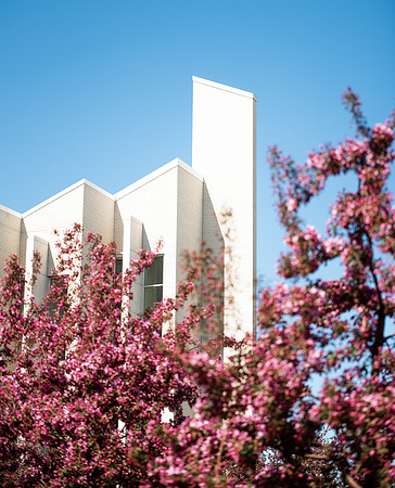 Flowers between the Taylor Building and Manwaring Center during the Spring 2021 Semester.