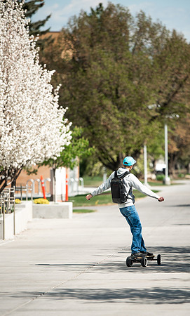 Flowers between the Taylor Building and Manwaring Center during the Spring 2021 Semester.