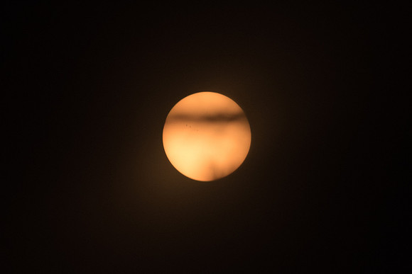 Solar Filter Test, Sun shot in the middle of the day looking through leaves on a tree.