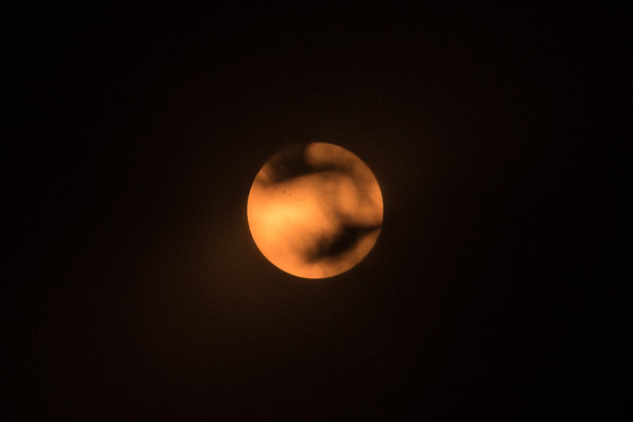 Solar Filter Test, Sun shot in the middle of the day looking through leaves on a tree.