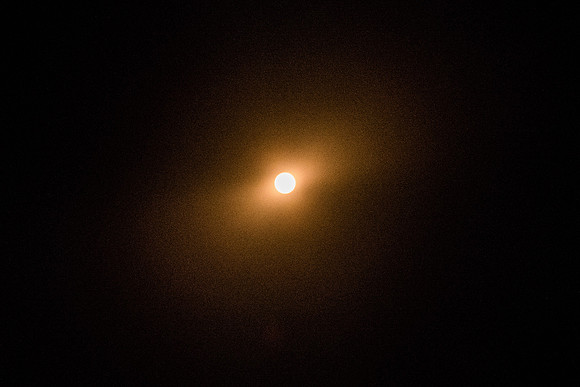 Solar Filter Test - ISO 12800.  Sun in the middle of the day shot with an 85mm lens.