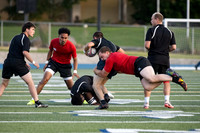 Rugby Championships.