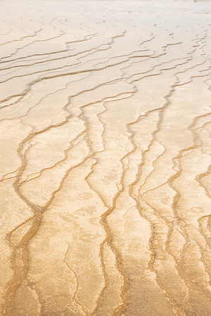 Landscape at Yellowstone National Park.