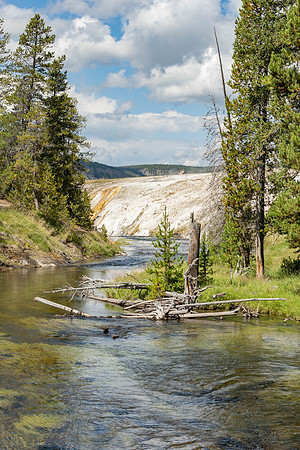 Landscape at Yellowstone National Park.