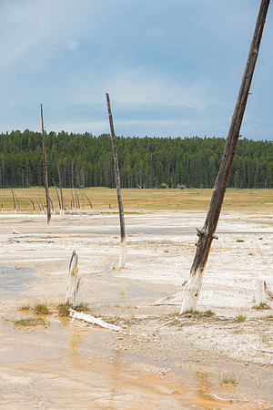 Landscape at Yellowstone National Park.