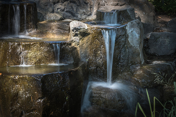 The water features in the gardens on campus are great places to relax. 2017