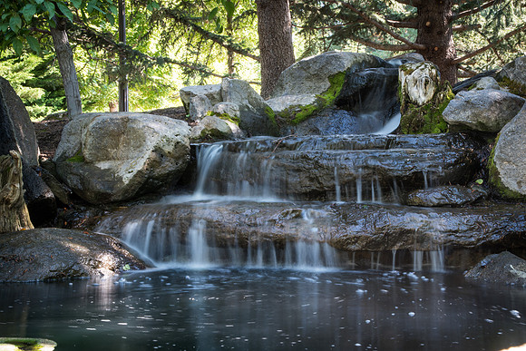 The water features in the gardens on campus are great places to relax. 2017