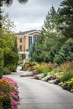 A pathway leads through the gardens to the Hinkley Building. 2017