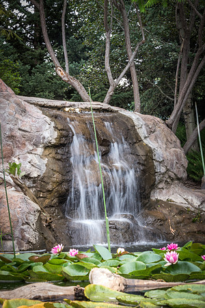 A waterfall in the gardens. 2017