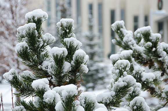 Winter on the campus of BYU-Idaho.