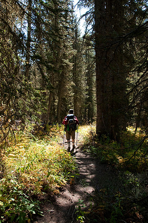 Targhee Creek Trail - Sept 2009