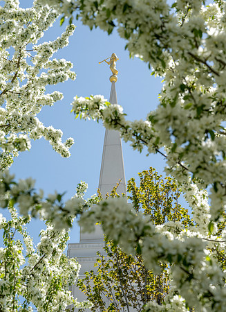 Rexburg Temple - May 2021