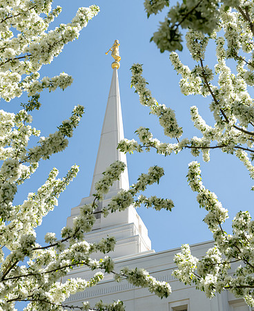Rexburg Temple - May 2021