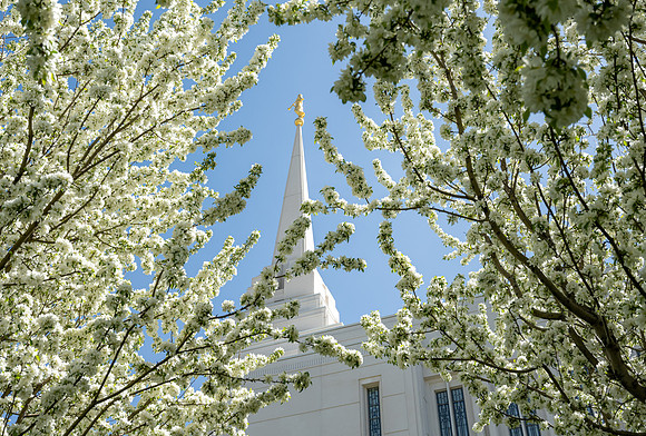 Rexburg Temple - May 2021