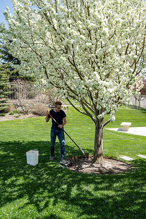 Grounds worker at the Rexburg Temple.