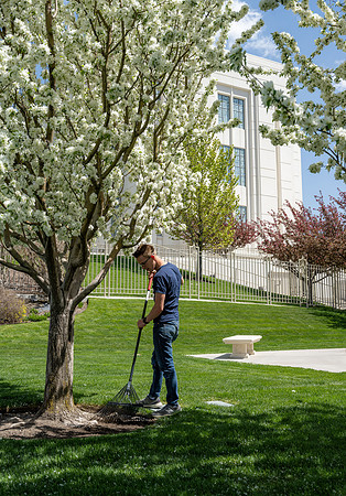 Grounds worker at the Rexburg Temple.