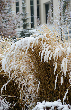 Winter on the campus of BYU-Idaho.