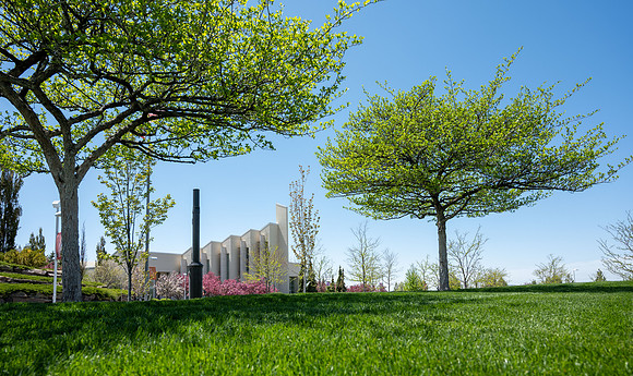 Campus Trees - May 2021