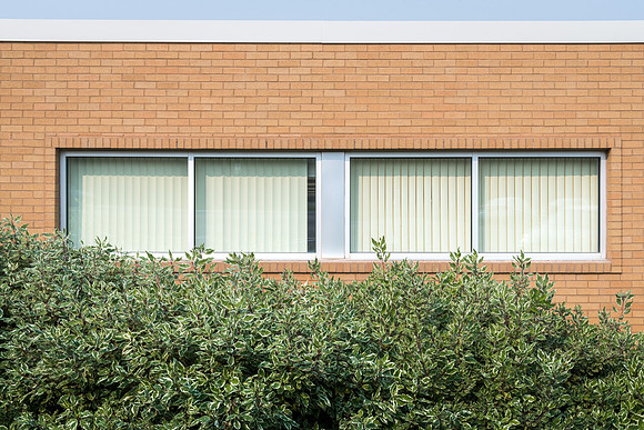 Windows of the Austin Building.