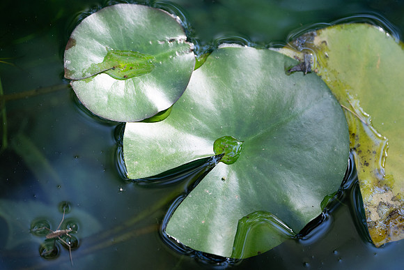 Nature on Campus - Aug 2024