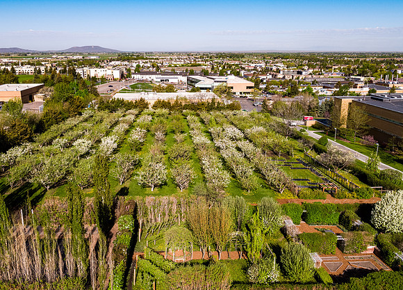 Drone aerials of BYU-Idaho campus on a beautiful spring morning.