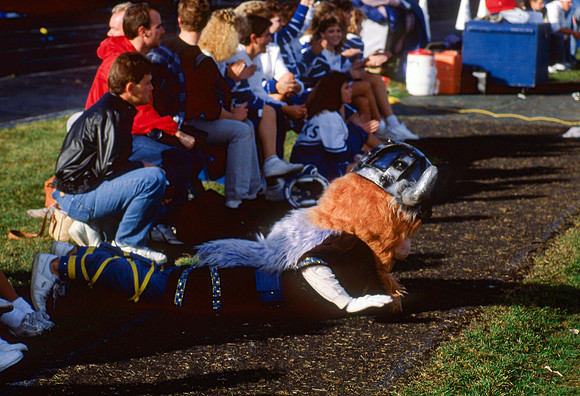 Rick's Football Viking Mascot