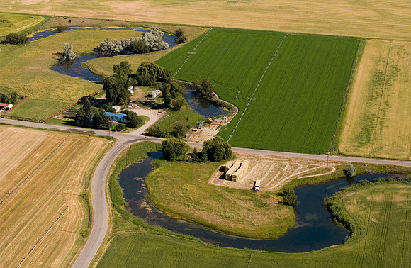 Fertile Fields 2006