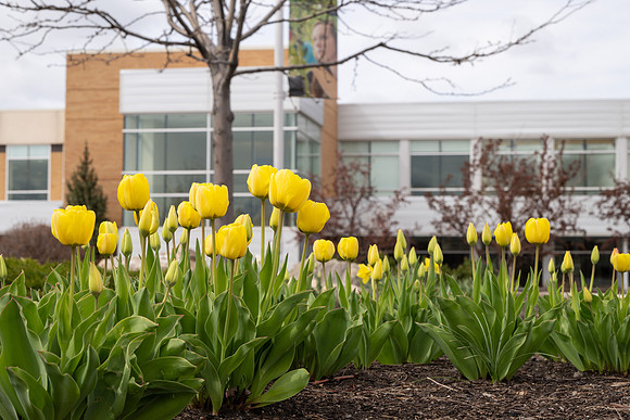 Campus Flowers - April 2024