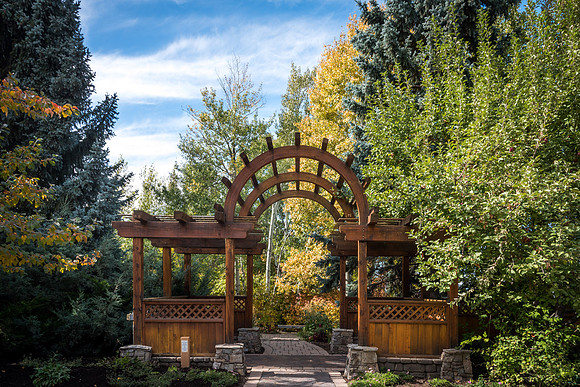 A pathway in the gardens on campus.