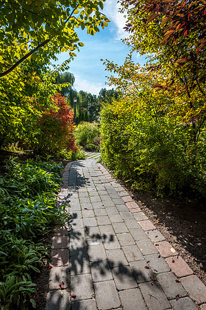 A pathway in the gardens on campus.