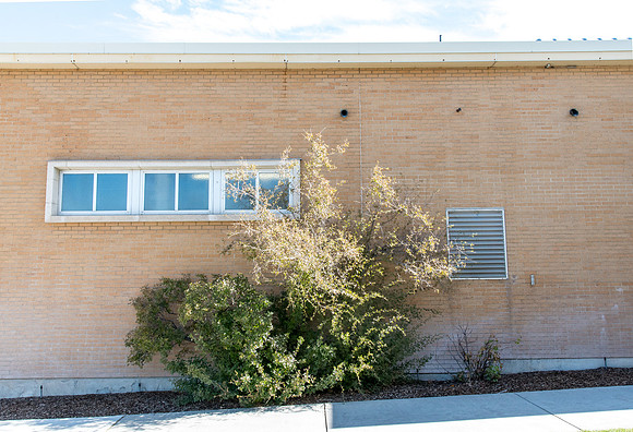 The side of the Kirkham Building.