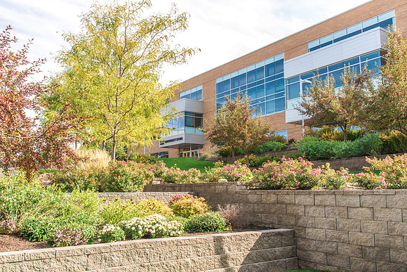 Days are getting chillier, and soon all the foliage will fall.