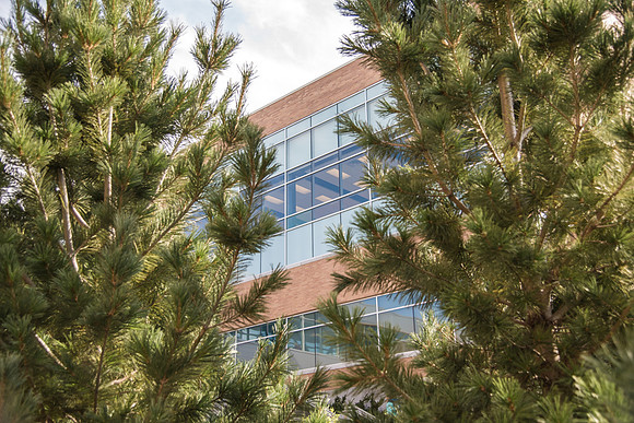The Manwaring Center peeks through the trees.