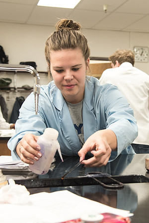 Students work in Brother Griffith's Microbiology Lab.