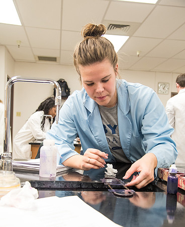 Students work in Brother Griffith's Microbiology Lab.