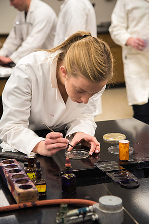 Students work in Brother Griffith's Microbiology Lab.