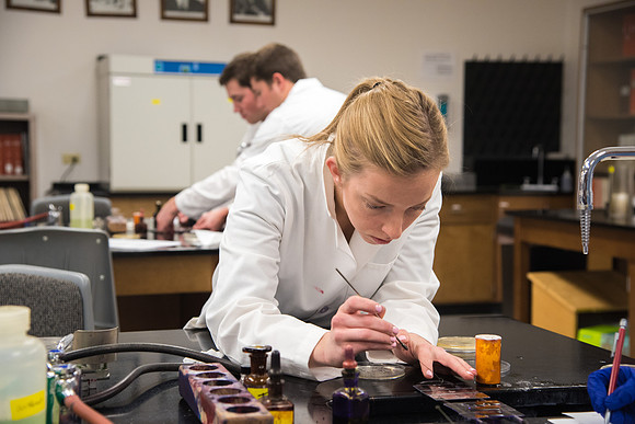 Students work in Brother Griffith's Microbiology Lab.