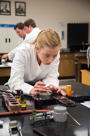 Students work in Brother Griffith's Microbiology Lab.
