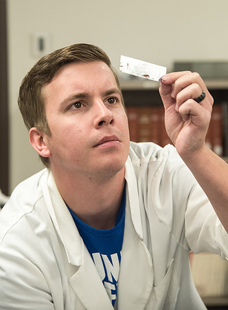 Students work in Brother Griffith's Microbiology Lab.